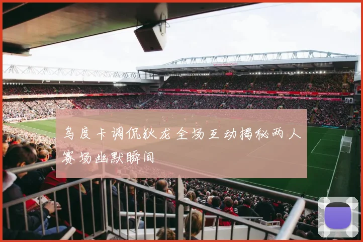 乌度卡调侃狄龙全场互动揭秘两人赛场幽默瞬间