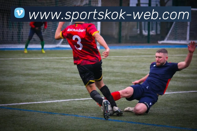 KOK体育平台生态图