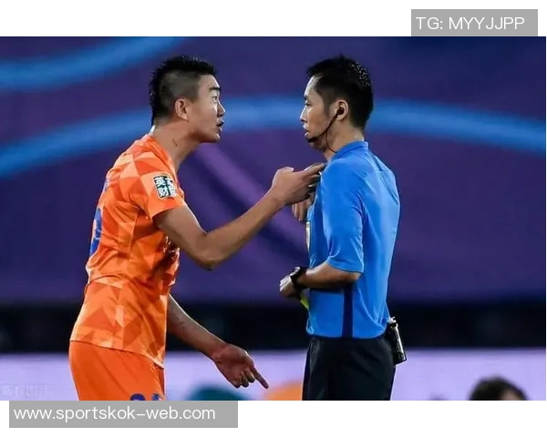 被戴琳拖欠救命钱球迷离世姑姑控诉辱骂事件引发社会关注与愤怒